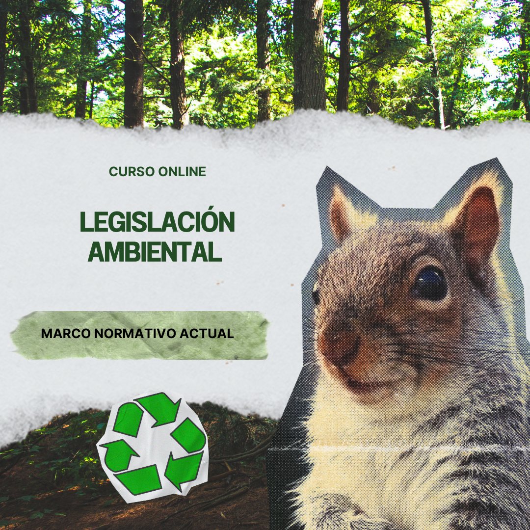Curso Legislación Ambiental