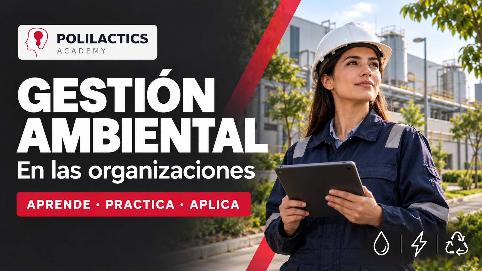 🌎🌳 ¿Qué significa gestionar ambientalmente una organización?