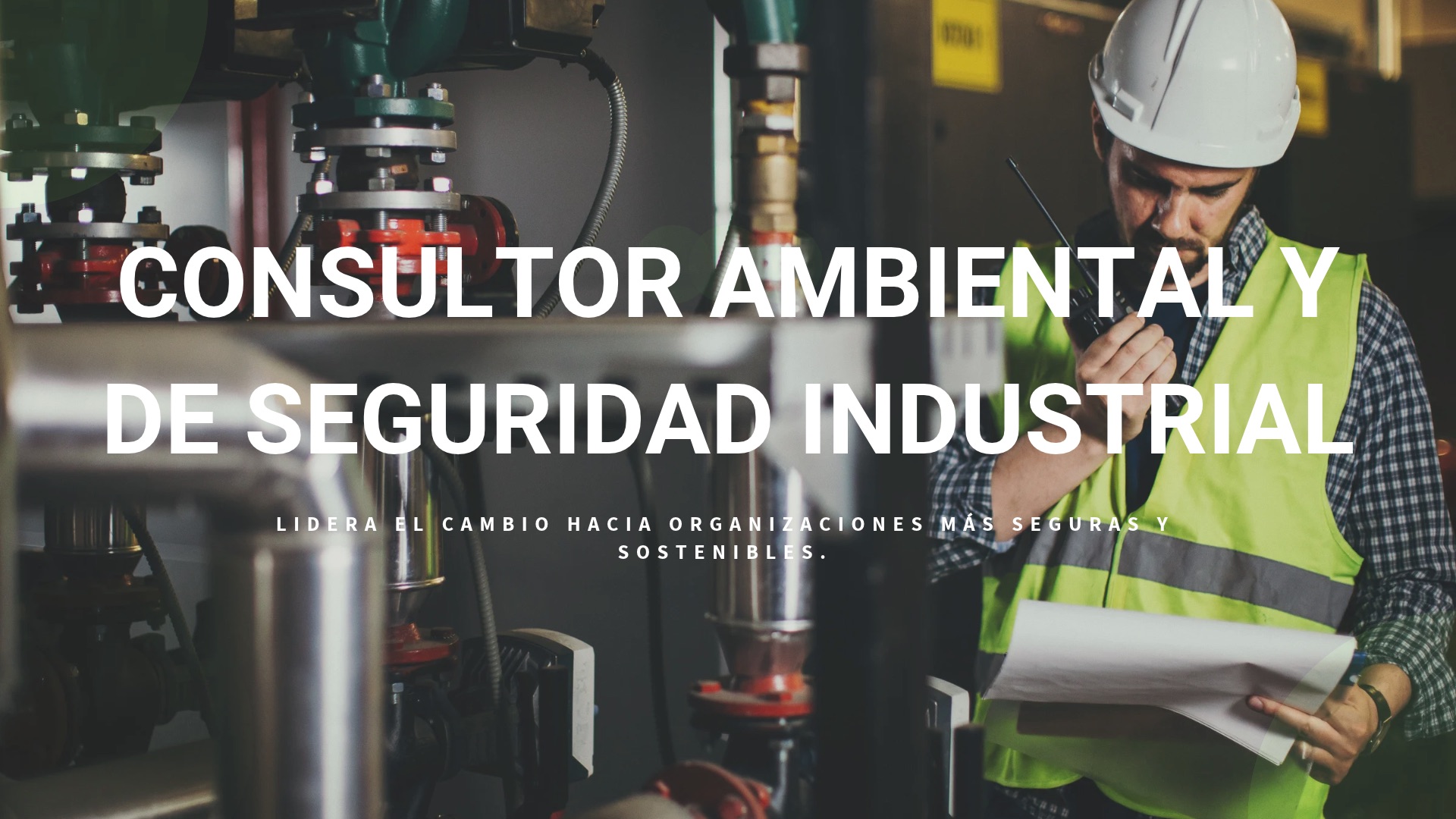Diplomado Consultoria Ambiental y Seguridad